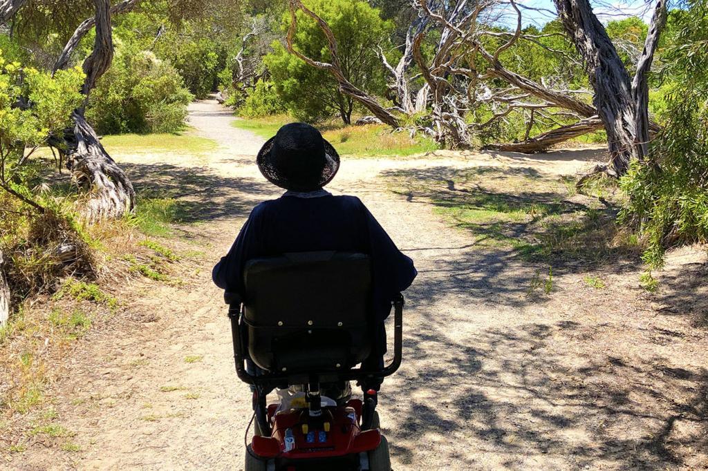 accessible paths stay in Barwon Heads